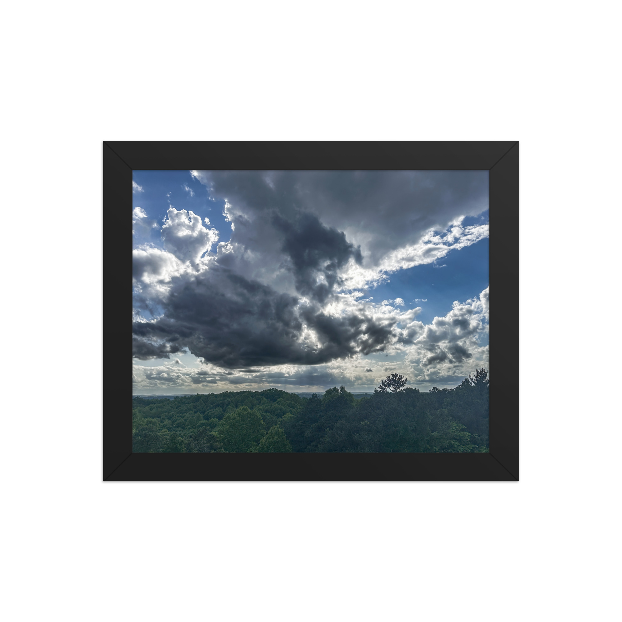 enhanced-matte-paper-framed-poster-in-black-8x10-front-69fea4f034121.jpg Above the Trees Framed poster