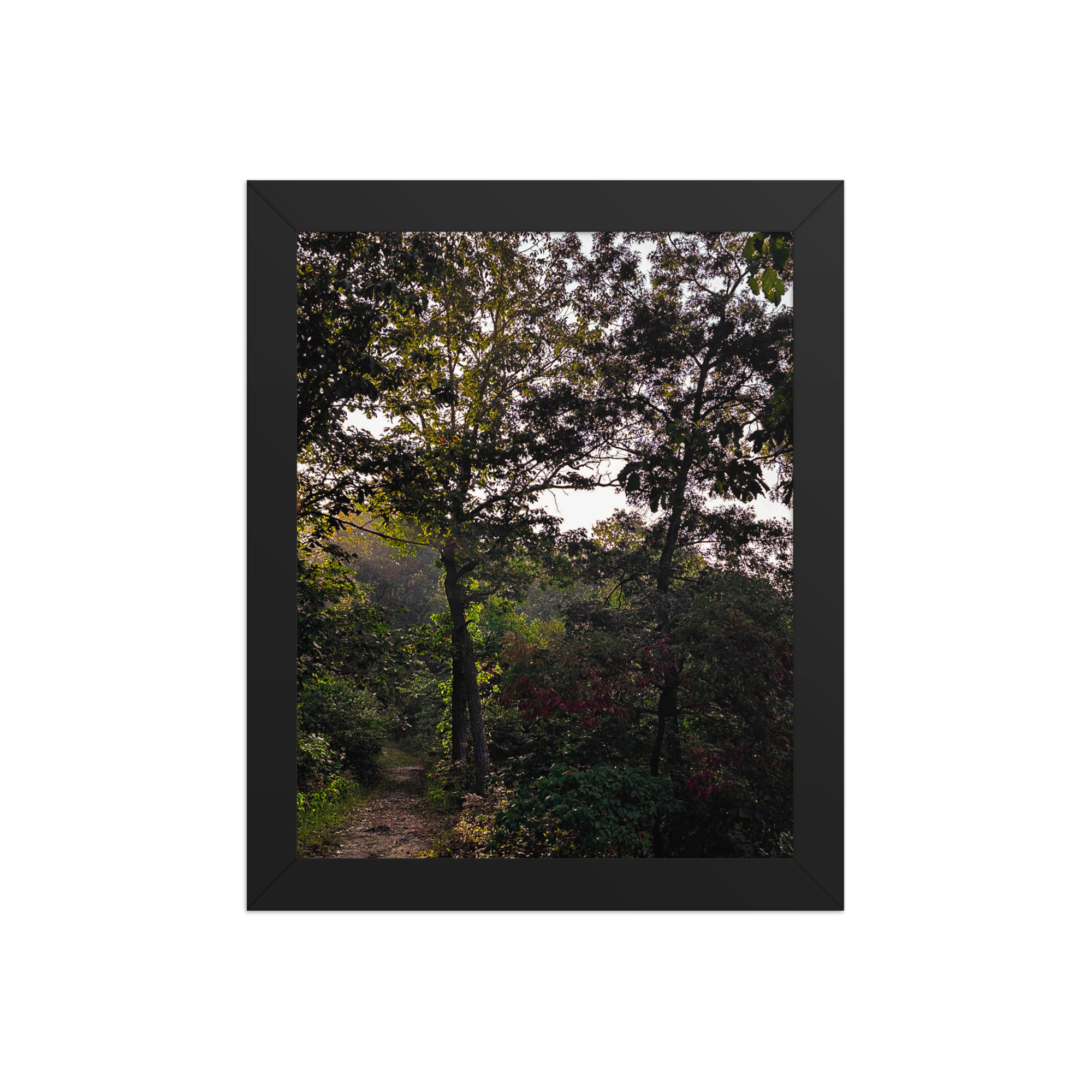 enhanced-matte-paper-framed-poster-in-black-8x10-front-69fea4f1735c1.jpg Solo Path Framed poster