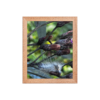 enhanced-matte-paper-framed-poster-in-red-oak-8x10-front-69fea4f159671.jpg Caterpillar Framed poster
