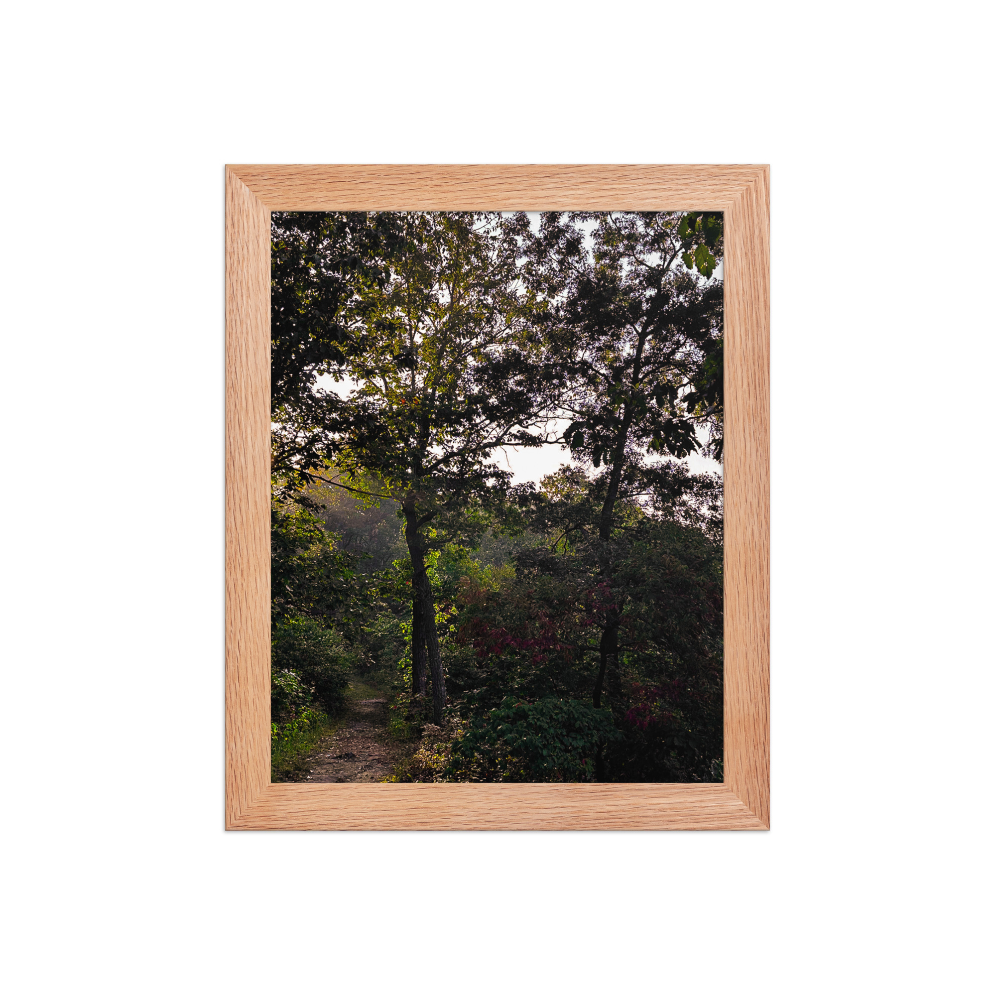 enhanced-matte-paper-framed-poster-in-red-oak-8x10-front-69fea4f17410f.jpg Solo Path Framed poster