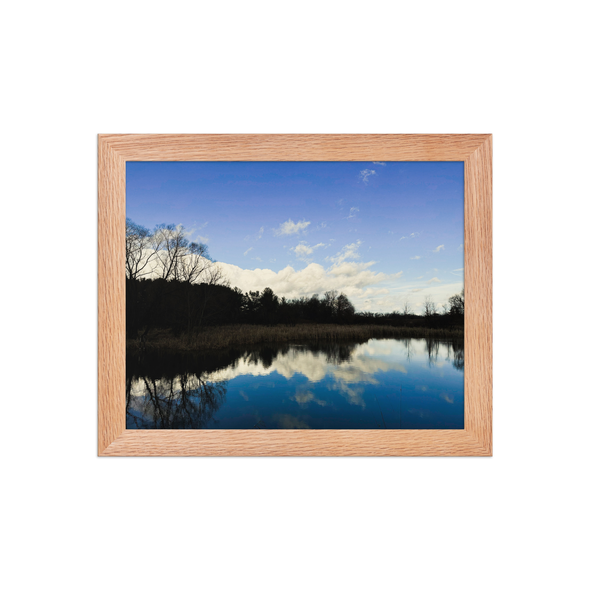 enhanced-matte-paper-framed-poster-in-red-oak-8x10-front-69fea4f2a3efe.jpg Pickerington Ponds 2 Framed poster