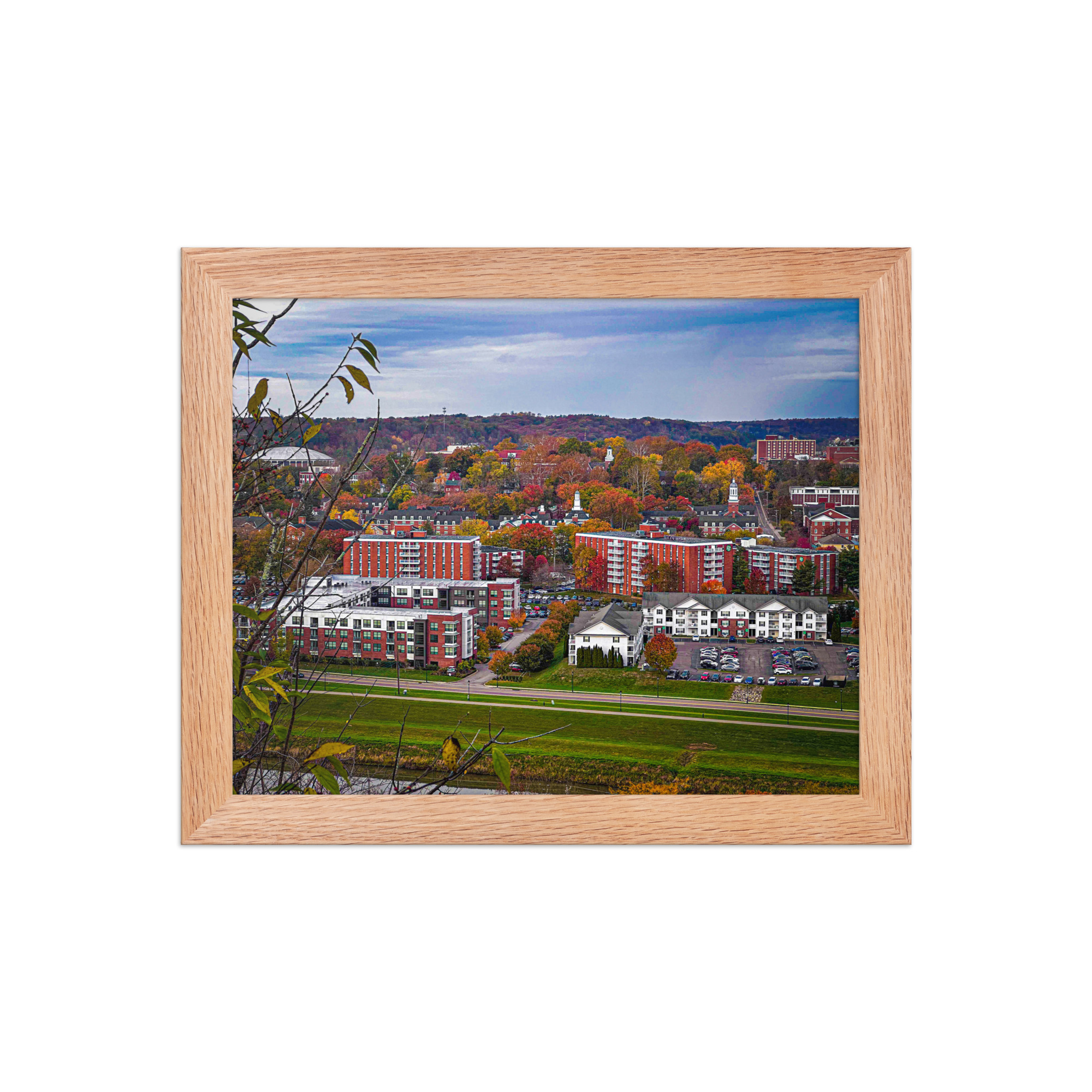 enhanced-matte-paper-framed-poster-in-red-oak-8x10-front-69fea4f4f0ca0.jpg Athens Ohio Framed poster