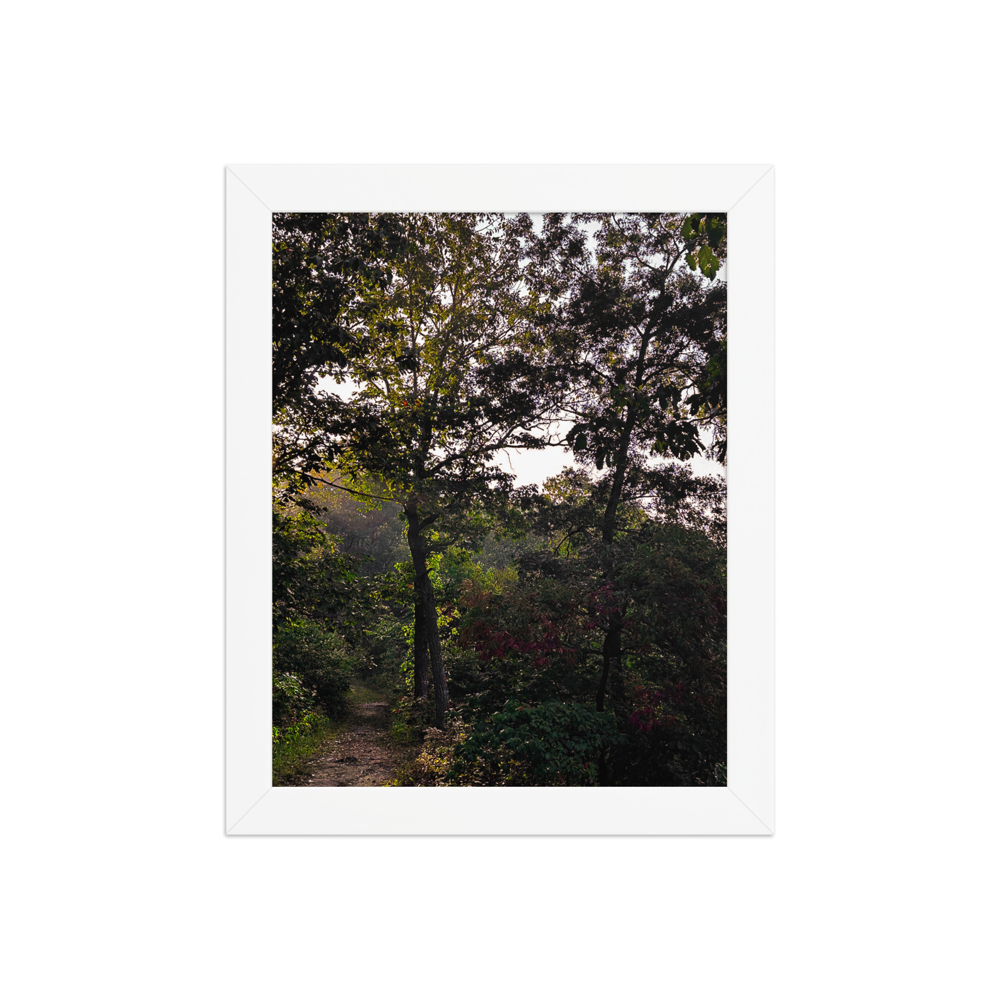 enhanced-matte-paper-framed-poster-in-white-8x10-front-69fea4f1741c6.jpg Solo Path Framed poster