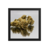 Jack Herer Framed photo paper poster