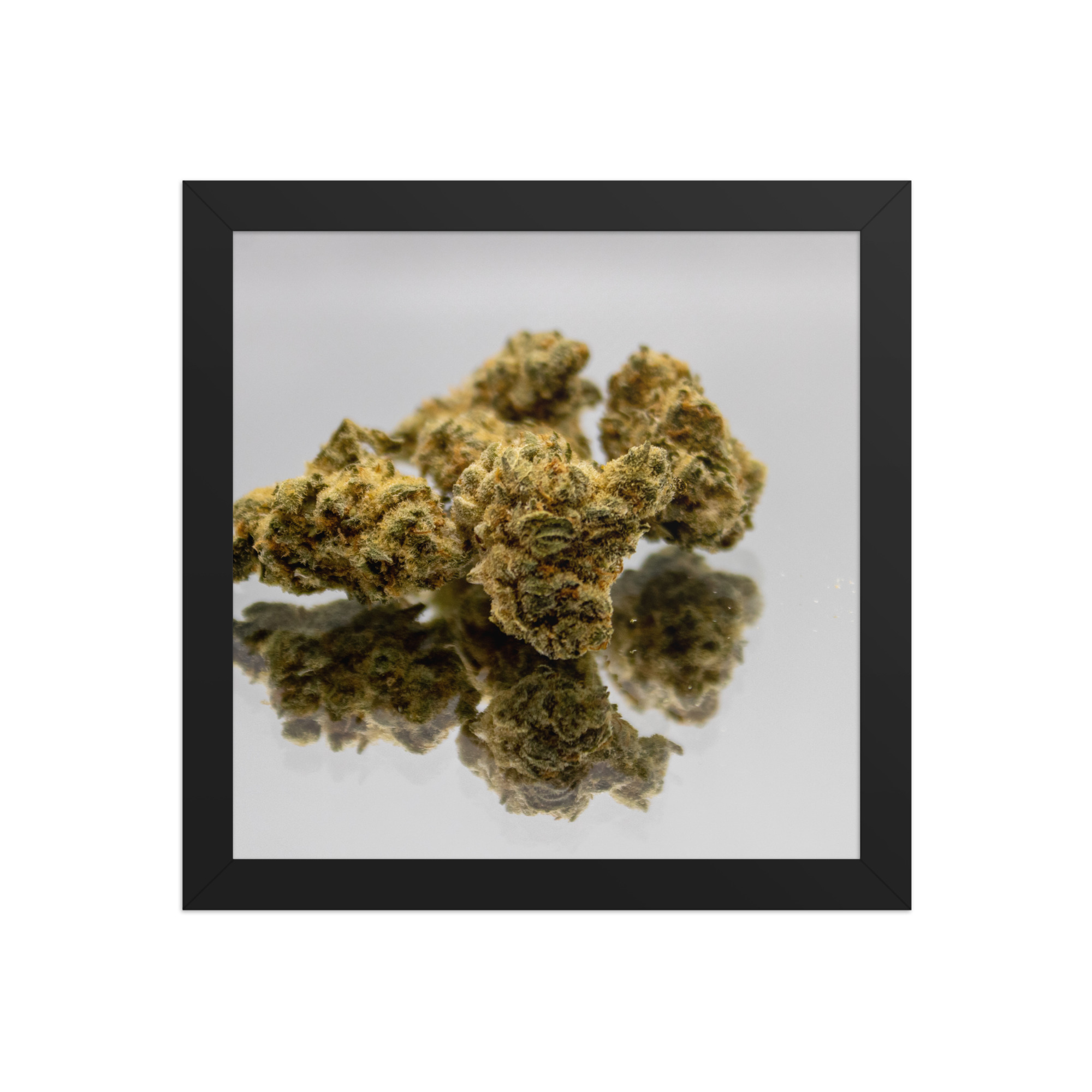 Jack Herer Framed photo paper poster
