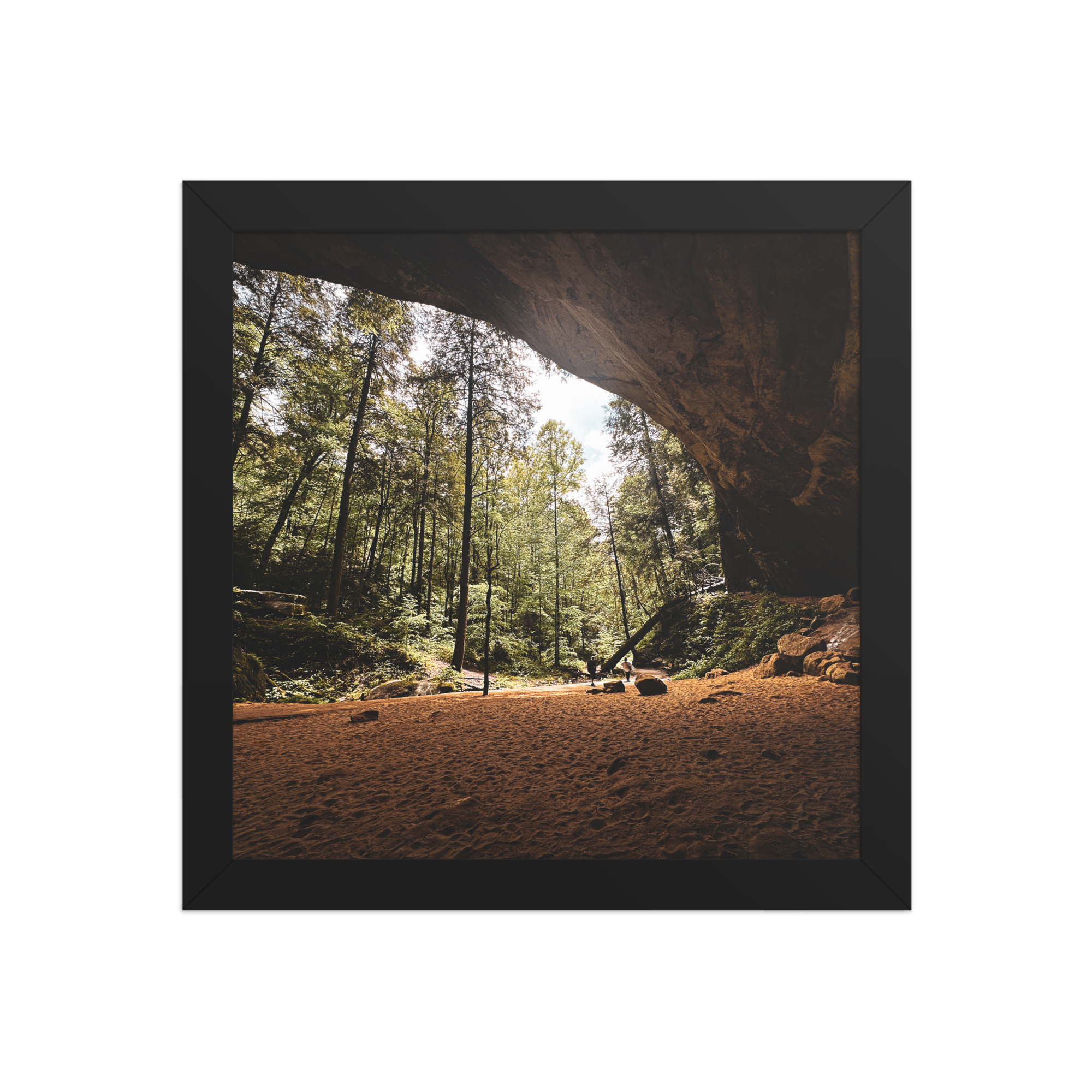 premium-luster-photo-paper-framed-poster-in-black-10x10-front-69fea2d8cd450.jpg Ash Cave Framed photo paper poster