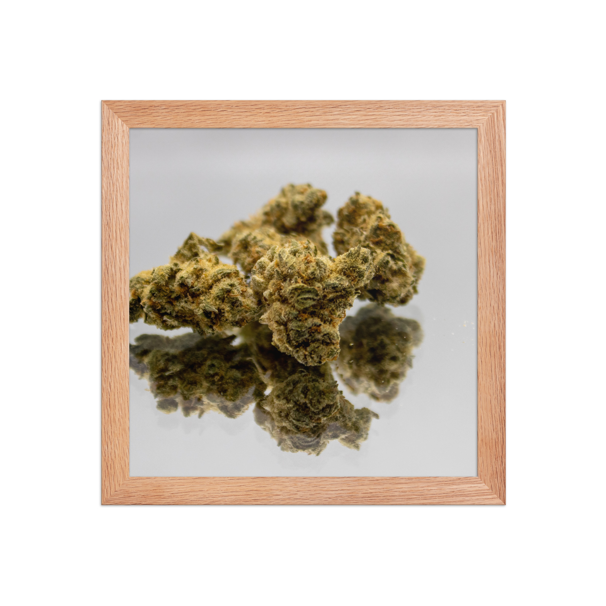 Jack Herer Framed photo paper poster